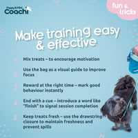 Company of Animals - Coachi Puppy & Mini Dog Training Treat Pouch - Teal & Mint