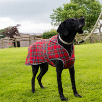 Ancol - Highland Tartan Dog Coat, Red