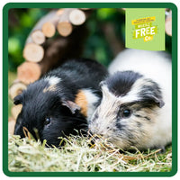 Burgess - Excel Guineapig with Mint - 1.8kg