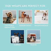 Simple Solution - Disposable Male Wrap - Large