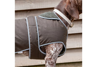 Ancol - Heritage Wax Cotton Coat, Green