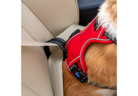 Ancol - Viva Exercise & Travel Harness, Black