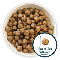 Burns - Sensitive Adult (Grain Free) Dog Food, Duck & Potato