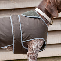 Ancol - Heritage Wax Cotton Coat, Green