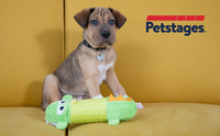 Petstages - Just For Fun No Stuffing - Big Squeaky Gator
