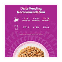 Whiskas 2-12 meses Menú Mixto en Gelatina 12x85g