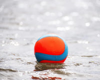 Chuckit! - Amphibious Mega Ball