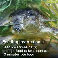 King British - Alimento completo para tortugas de agua y semi-acuáticas - 200g