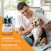 DoggyRade - Isotonic Drink for Pets, Chicken - 250ml
