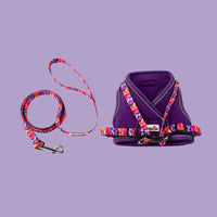 Doodlebone - Cat Harness & Lead, Violet/Dunes