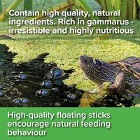King British - Turtle and terrapin - Food sticks - 90g