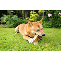 Patello - Yak Cheese with Banana Dog Chew - 155g
