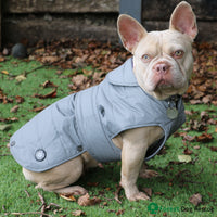 Ancol - Ultimate Reflective Dog Coat