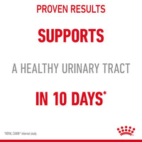 Royal Canin - Cat Urinary Care Pouch in Jelly, 85G