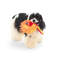 BARK! - Harry Potter Fawkes Dog Toy