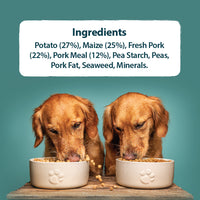 Burns - Adult Sensitive Dog Food, Pork & Potato