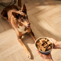 Forthglade - Complete Senior Wet Dog Food, Grain Free Turkey Butternut Squash & Veg - 395g