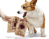 Bark - Wizarding World of Harry Potter Dog Toy - Marauders Map