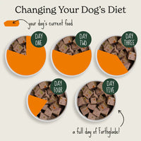 Forthglade - Alimento Húmedo Natural para Perros Adultos, Pato con Patata y Verduras - 395g