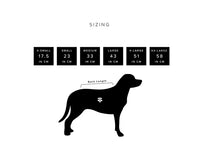 Sotnos - Pet Raincoat, Sunshine Yellow