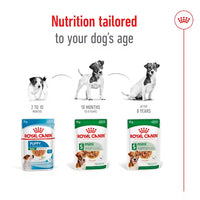 Royal Canin - Mini Adult Dog in Gravy Pouch, 85g