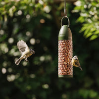 Peckish - Everyday Peanut Feeder