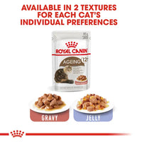Royal Canin - Ageing Cat +12 In Gravy, 85G Pouch