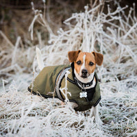 Danish Design - Ultimate 2In1 Dog Coat, Khaki
