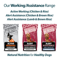 Burns - Alert Working Dog, Chicken & Rice