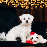 Happy Pet - Festive Lamb Chop Toy - Medium