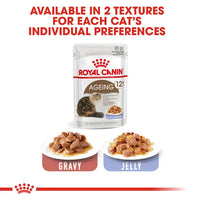Royal Canin - Ageing Cat +12 In Jelly, 85g Pouch