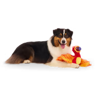 BARK! - Harry Potter Fawkes Dog Toy