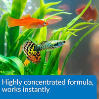 API - Aqua Essentials