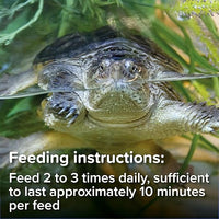 King British - Turtle and terrapin - Food sticks - 90g