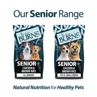 Burns - Senior+ Med/Lrg Breed Dog, Chicken & Rice