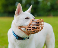 Company of Animals - Baskerville Classic Basket Muzzle