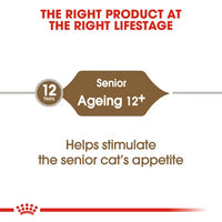 Royal Canin - Ageing Cat +12 Kibble