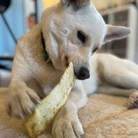 Earth Animal - No Hide Strips - Chicken