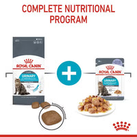 Royal Canin - Cat Urinary Care Pouch in Jelly, 85G