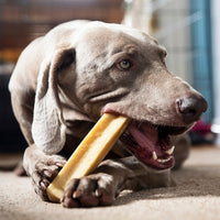 Patello - Yak Cheese with Banana Dog Chew - 155g