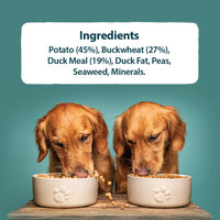Burns - Sensitive Adult (Grain Free) Dog Food, Duck & Potato