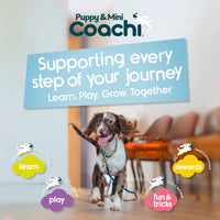 Company of Animals - Coachi Puppy & Mini Dog Training Treat Pouch - Teal & Mint