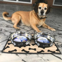 Love Pet - Bella Pet Bowl, Paparazzi Pink - Medium