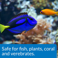 API - Prevent Algae