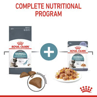 Royal Canin - Hairball Care Cat Pouch in Jelly, 85g