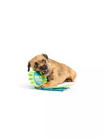 Bark - Juguete de cinta "Best In Show" de Crufts