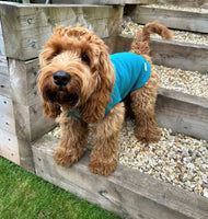 #Doodlebone - Fleecy Jacket, Ruby - Size 4-5