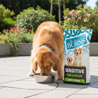 Burns - Adult Sensitive Dog Food, Pork & Potato