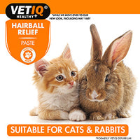 VetIQ - Cat & Kitten (Rabbit) Defurr-um Plus Paste - 70g