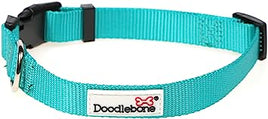 Doodlebone - Originals Collar - Peacock - Size 6-11